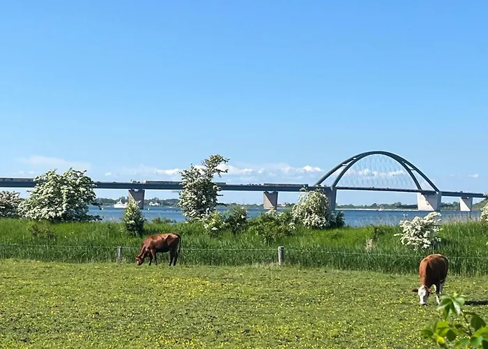 Apartamento Ferienwohnung-meeresblick *